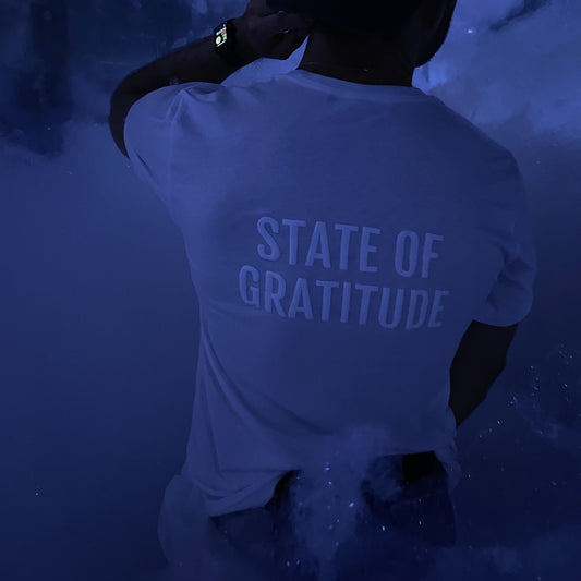State of Gratitude | Superblue Art | WhiteOut | Gratitude Apparel | Wynwood Art | Social Impact