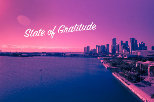 State of Gratitude | Miami | Brickell | State of Gratitude USA | StateofGratitude | Pandemic Chronicle | Disney to Tropical Storm Eta
